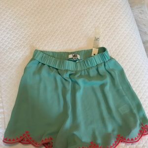 NWT Ya Mint Embroidered Shorts Size Small